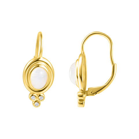 Moonstone Droplet Earrings 14k gold vermeil